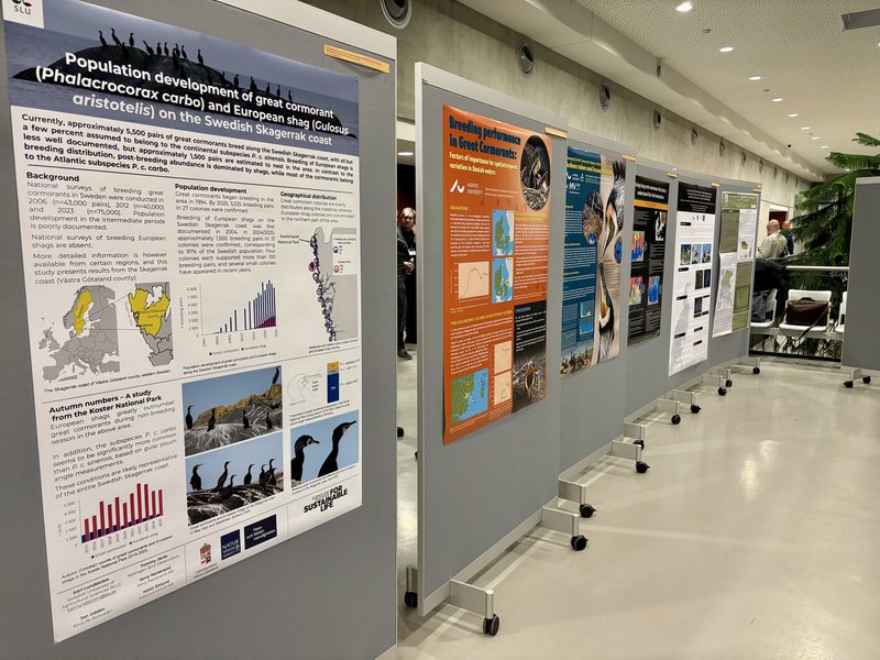 FEB04_Poster_session_01