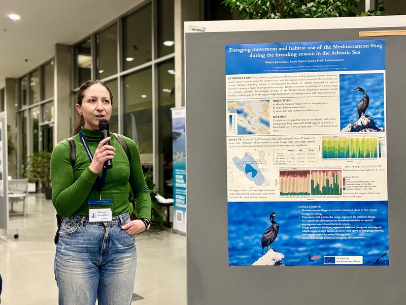 FEB04_Poster_session_09