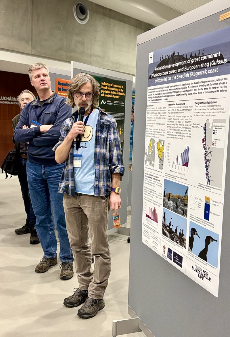 FEB04_Poster_session_10