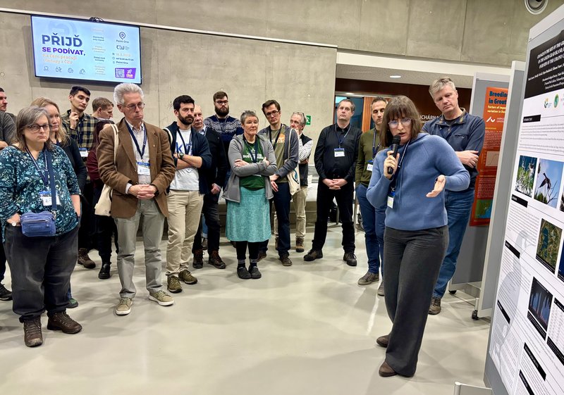 FEB04_Poster_session_16