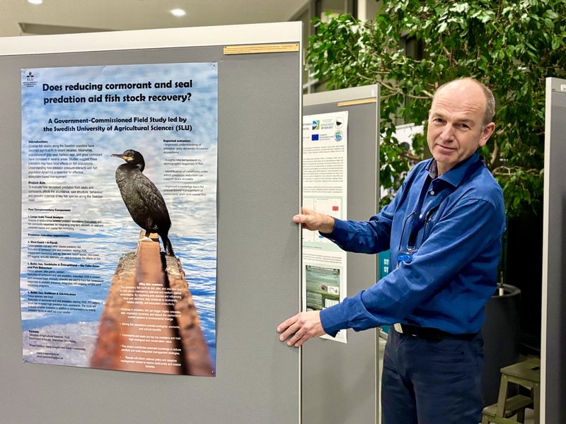 FEB04_Poster_session_17