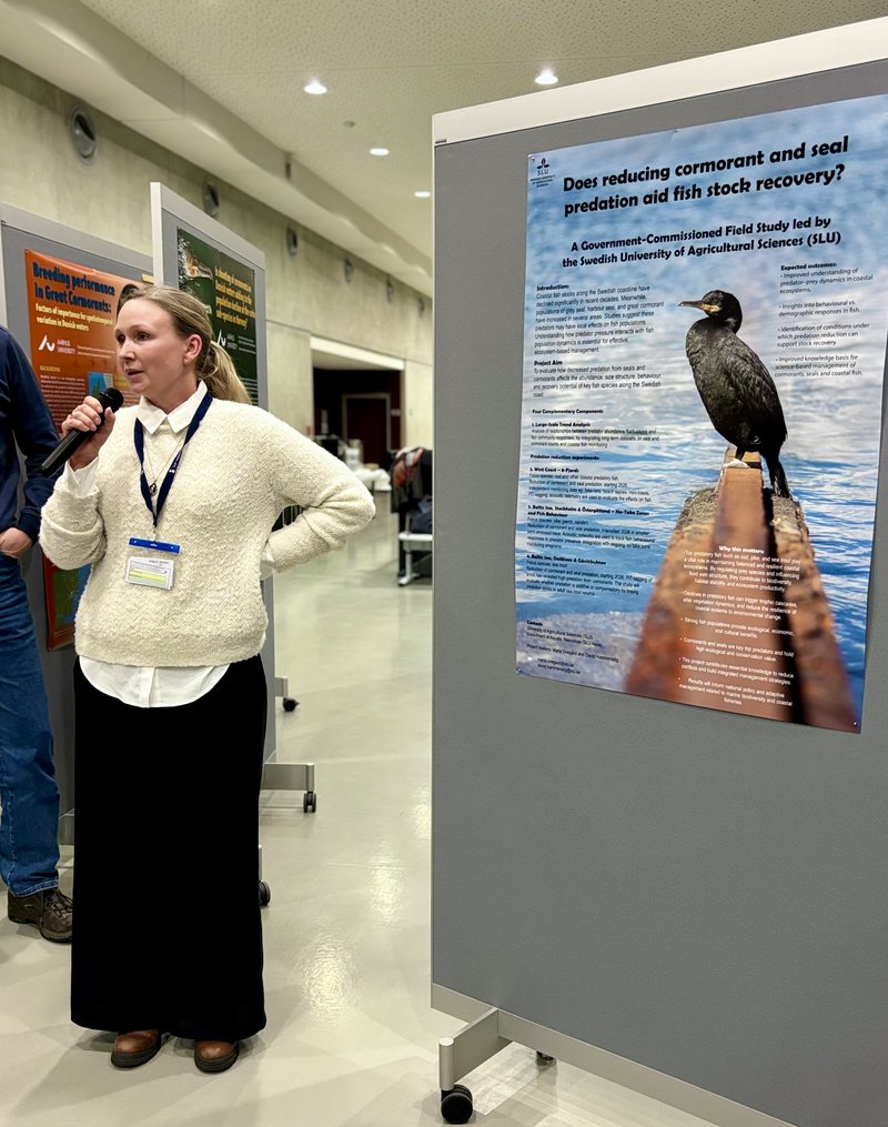 FEB04_Poster_session_18