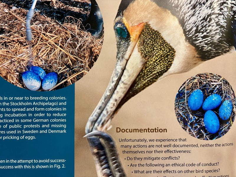 FEB04_Poster_session_19