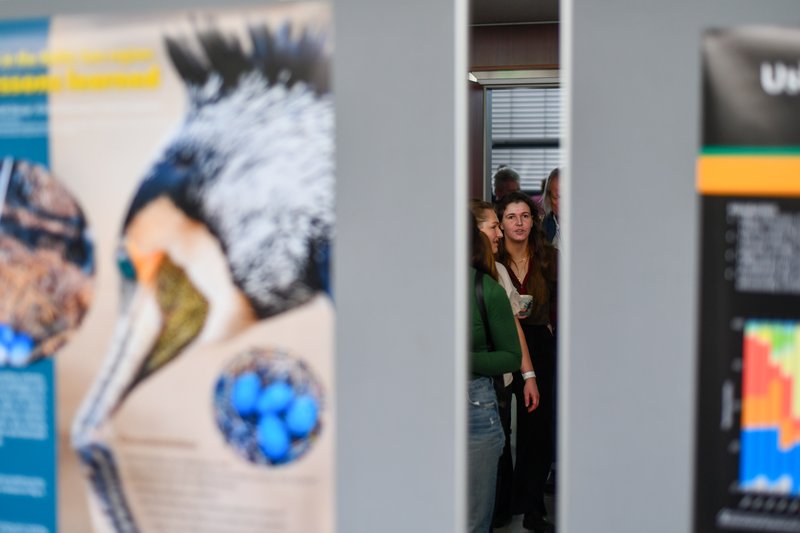 FEB04_Poster_session_21