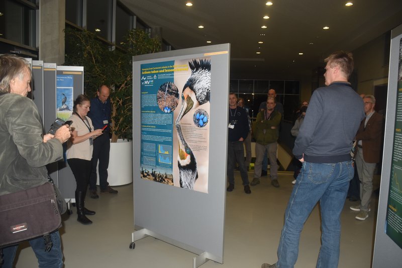 FEB04_Poster_session_22